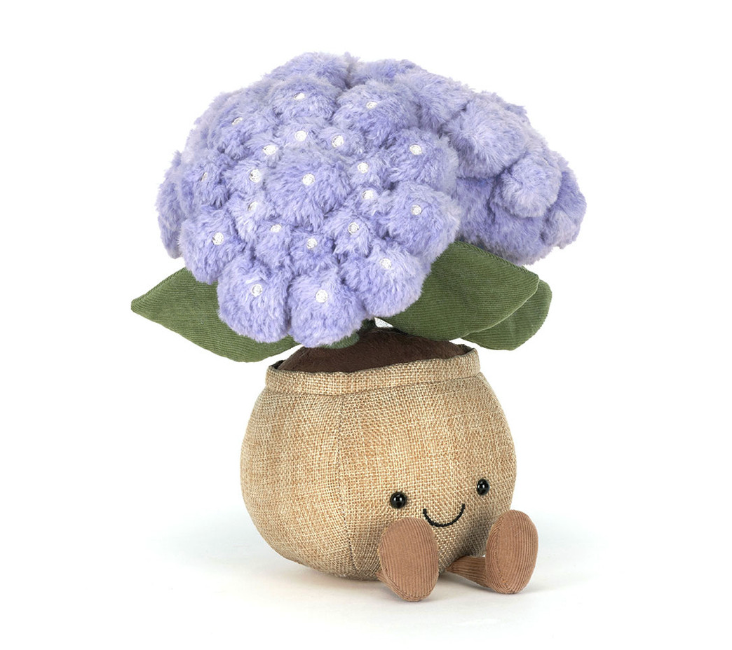 Hydrangea Jelly cat