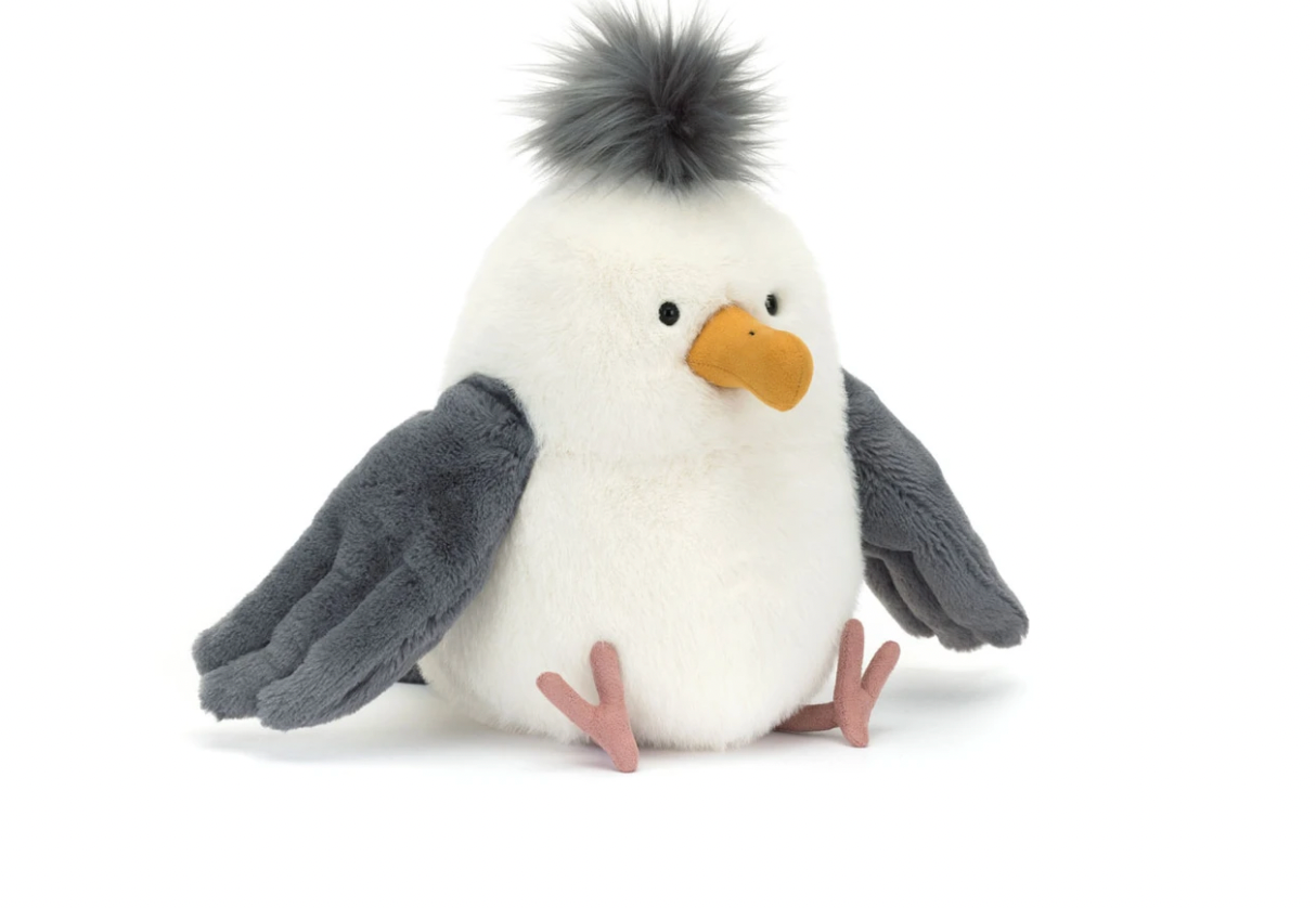 Chip seagull