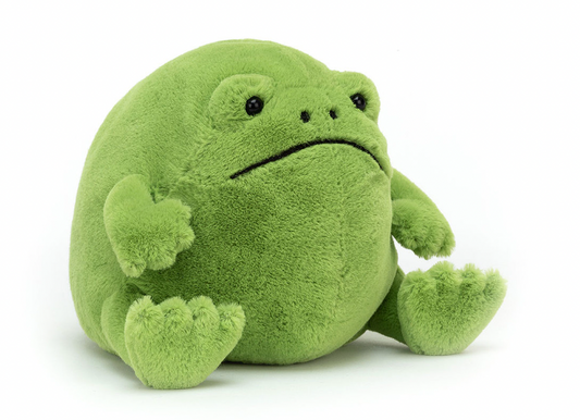 Rain Frog